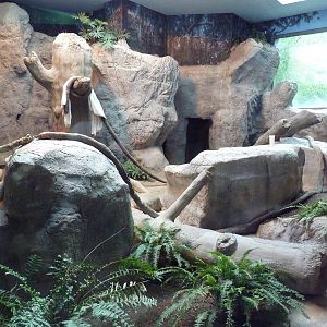 1930 Main Zoo Building - All-Indoor Gorilla Exhibit