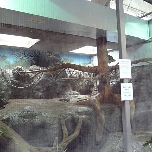 1930 Main Zoo Building - Rock Hyrax Exhibit