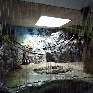 1930 Main Zoo Building - Lemur Indoor Exhibit