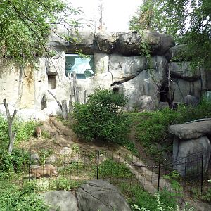 1930 Main Zoo Building - Capybara Exhibit