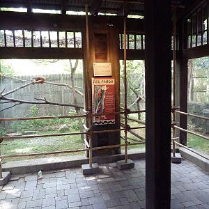 Wild Asia - Red Panda Exhibit