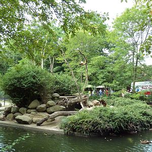 Spider Monkey Island