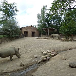 Kiboka Outpost - White Rhino Exhibit