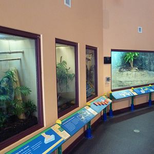 Children's Zoo - Terrariums (4 Species)