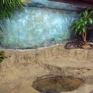 Children's Zoo - Reticulated Python Exhibit