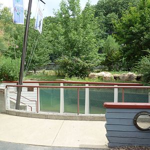 Children's Zoo - Black-Footed Penguin Exhibit