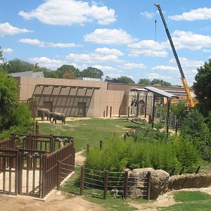 Elephant Trails-Summer 2011