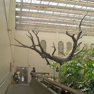 Indoor Flight Room in Bird House