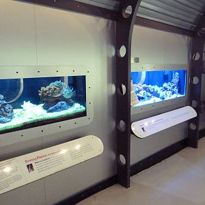 USS Antiquities Hall - Entrance Fish Tanks