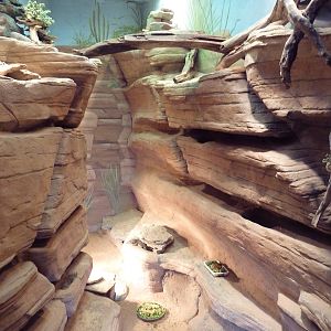 USS Antiquities Hall - Desert Environment (4 Species)