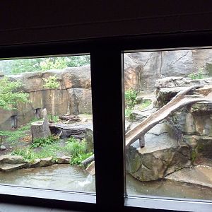 Social Building - River Otter Exhibit