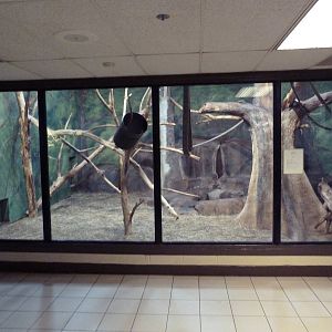 Social Building - Fossa Exhibit