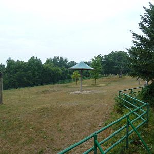 4-Acre Asian Elephant Preserve