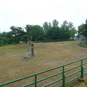 4-Acre Asian Elephant Preserve