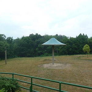 4-Acre Asian Elephant Preserve