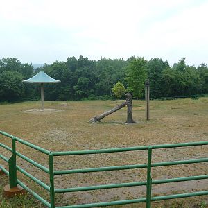 4-Acre Asian Elephant Preserve