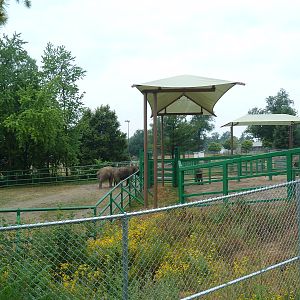 4-Acre Asian Elephant Preserve