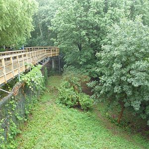Visitor Boardwalk + Red Wolf Exhibit