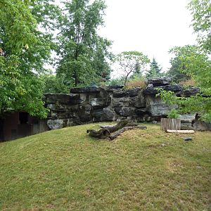 Chinese Muntjac Exhibit