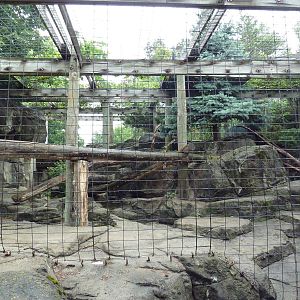 Snow Leopard Exhibit