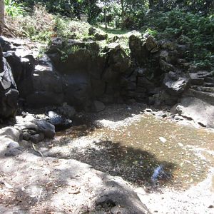 Robert Louis Stevenson Pool