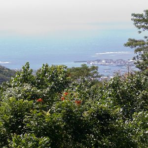 View of Apia from the Tomb