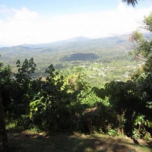 View from Stevenson's Tomb on Mt Vaea