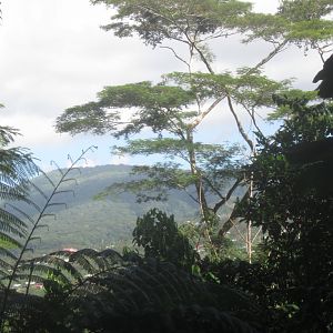 View from the Long Walk