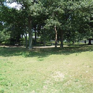 Serengeti Crossing - White-Bearded Wildebeest/Zebra/Ostrich Exhibit