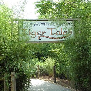 Tiger Tales - Entrance Area