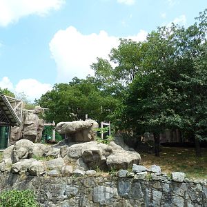Lion Exhibit