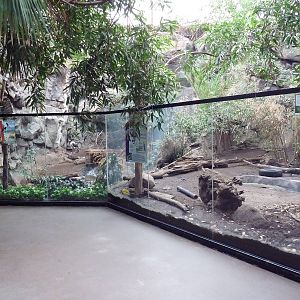 Tropical Forest - Giant Anteater + Saddle-Billed Stork Exhibits