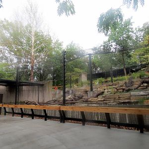 New Tiger Exhibit