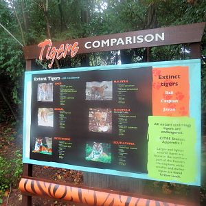 New Tiger Exhibit - Signage