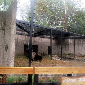 New Tiger Exhibit