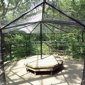 Andean Condor Exhibit - Visitor Walkway