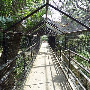 Andean Condor Exhibit - Visitor Walkway