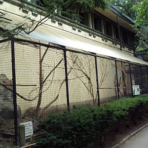 Bird's World (1912 Building) - Kea Exhibit