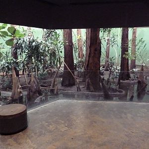 Bird's World (1912 Building)