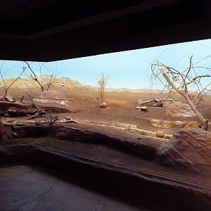 Bird's World (1912 Building)