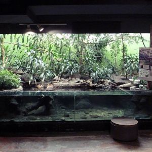 Bird's World (1912 Building)