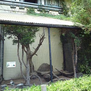 Bird's World (1912 Building) - Kookaburra Exhibit