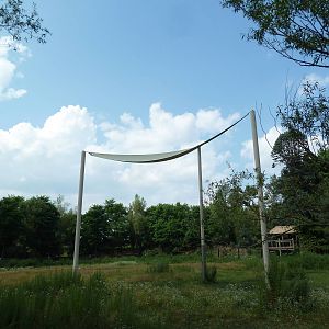 Masai Giraffe/Grevy's Zebra Exhibit