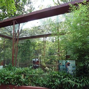 Red Panda/Reeves' Muntjac Exhibit