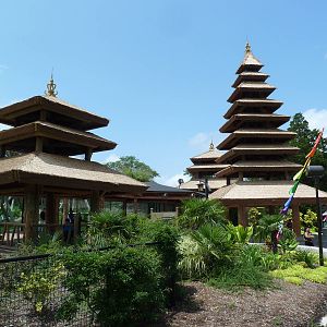 Trail of the Tiger - Entrance Area