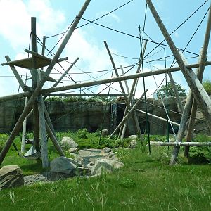 Trail of the Tiger - Orangutan Exhibit