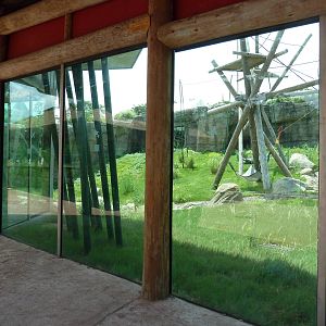 Trail of the Tiger - Orangutan Exhibit