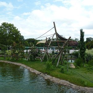 Trail of the Tiger - Siamang Exhibit