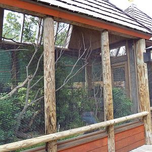Trail of the Tiger - Bird Aviaries