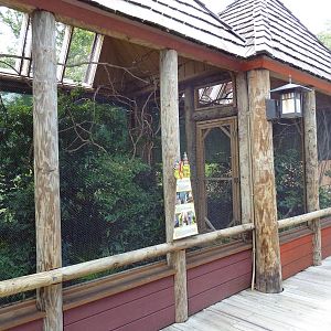 Trail of the Tiger - Bird Aviaries